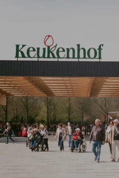 Attraction Keukenhof