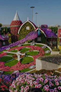 Attraction Dubai Miracle Garden