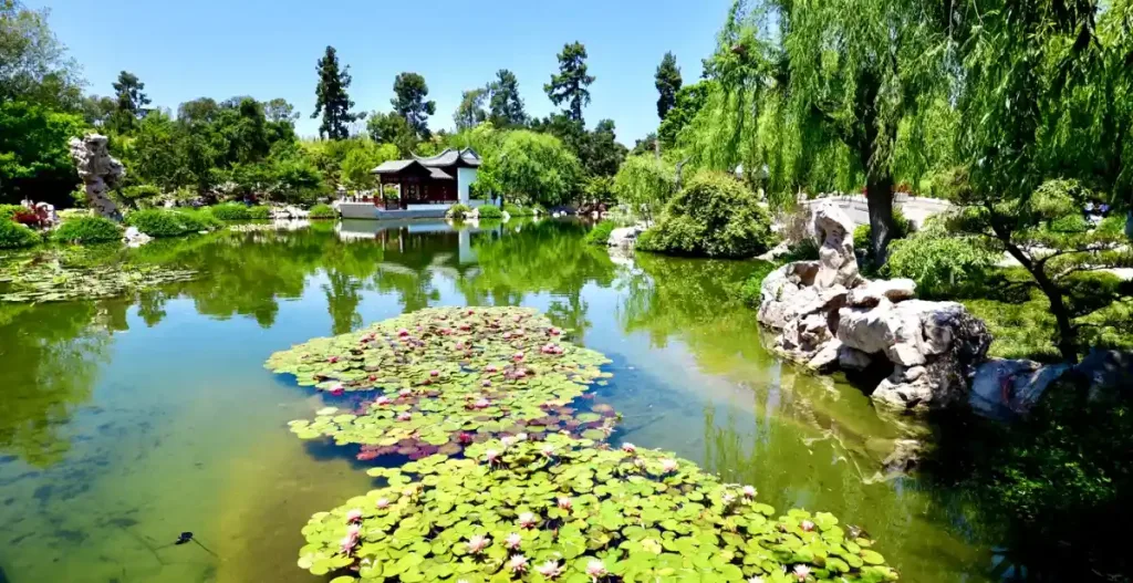 Plan your visit the Huntington Library Art Collections Botanical Gardens
