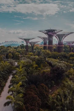 Attraction Gardens by the Bay