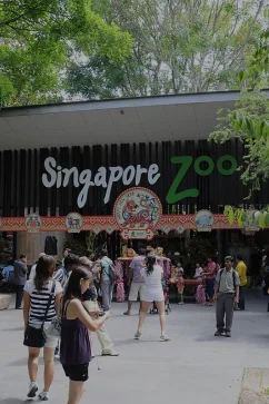 Attraction Singapore Zoo